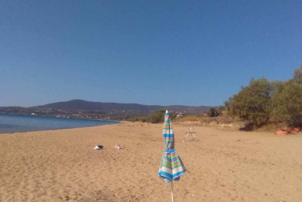 Im Herzen Von Koroni Exteriör bild