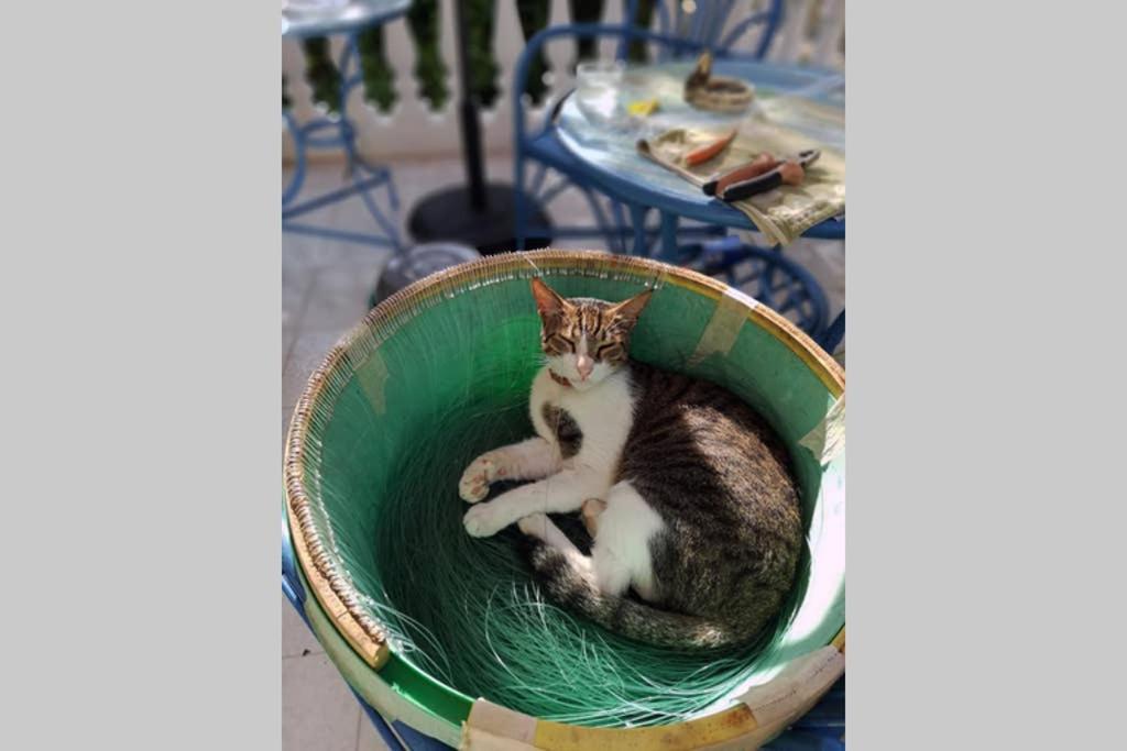 Im Herzen Von Koroni Exteriör bild